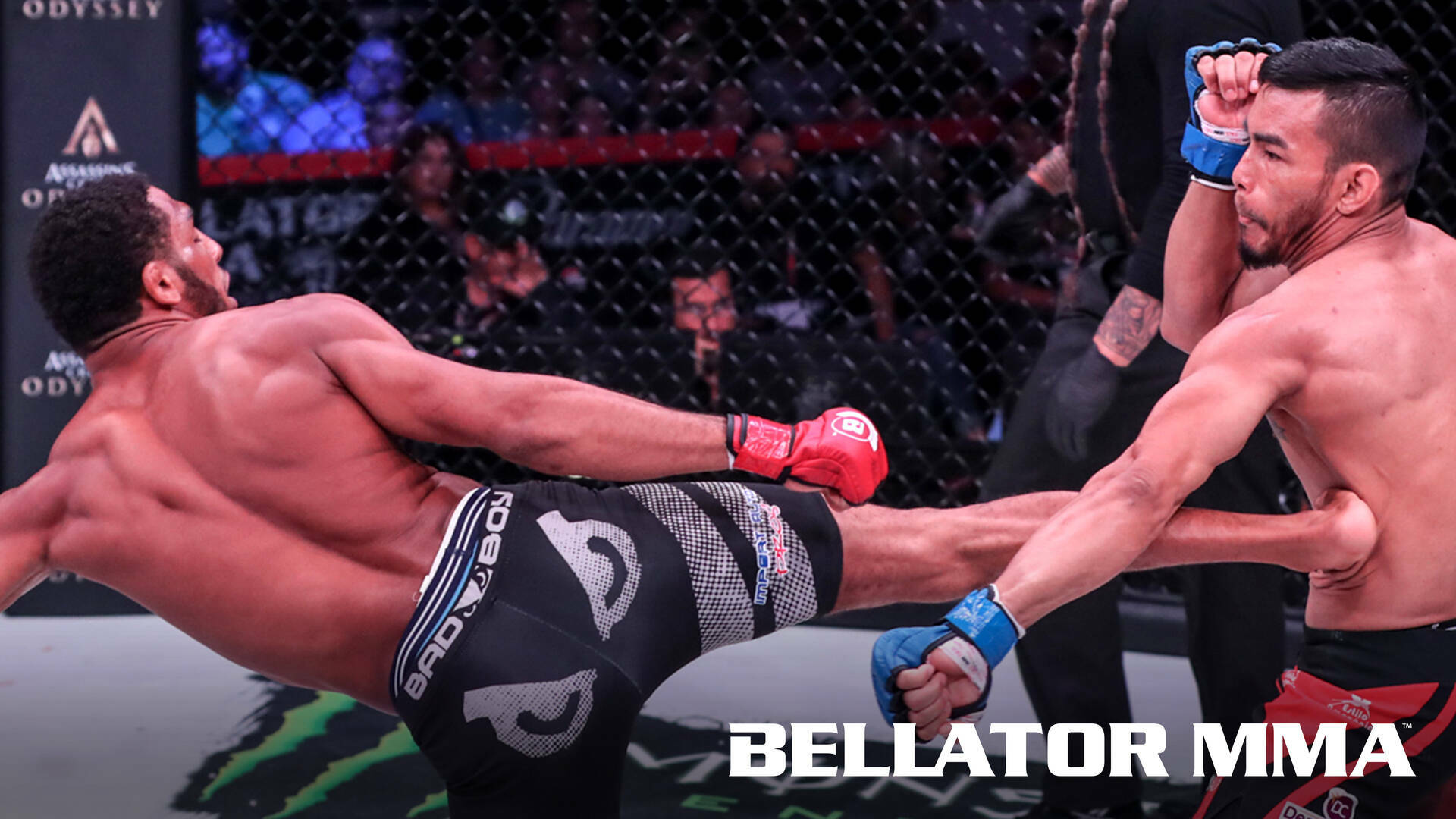 Watch Bellator MMA Season 2021 BELLATOR MMA 205 Mckee vs