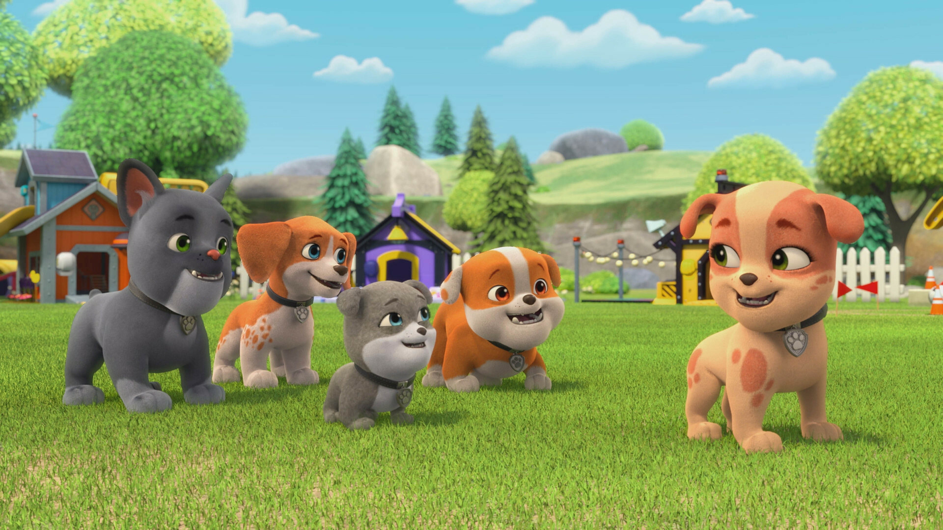 Watch Rubble & Crew Season 1 Episode 14: The Crew Builds A Splash Park ...