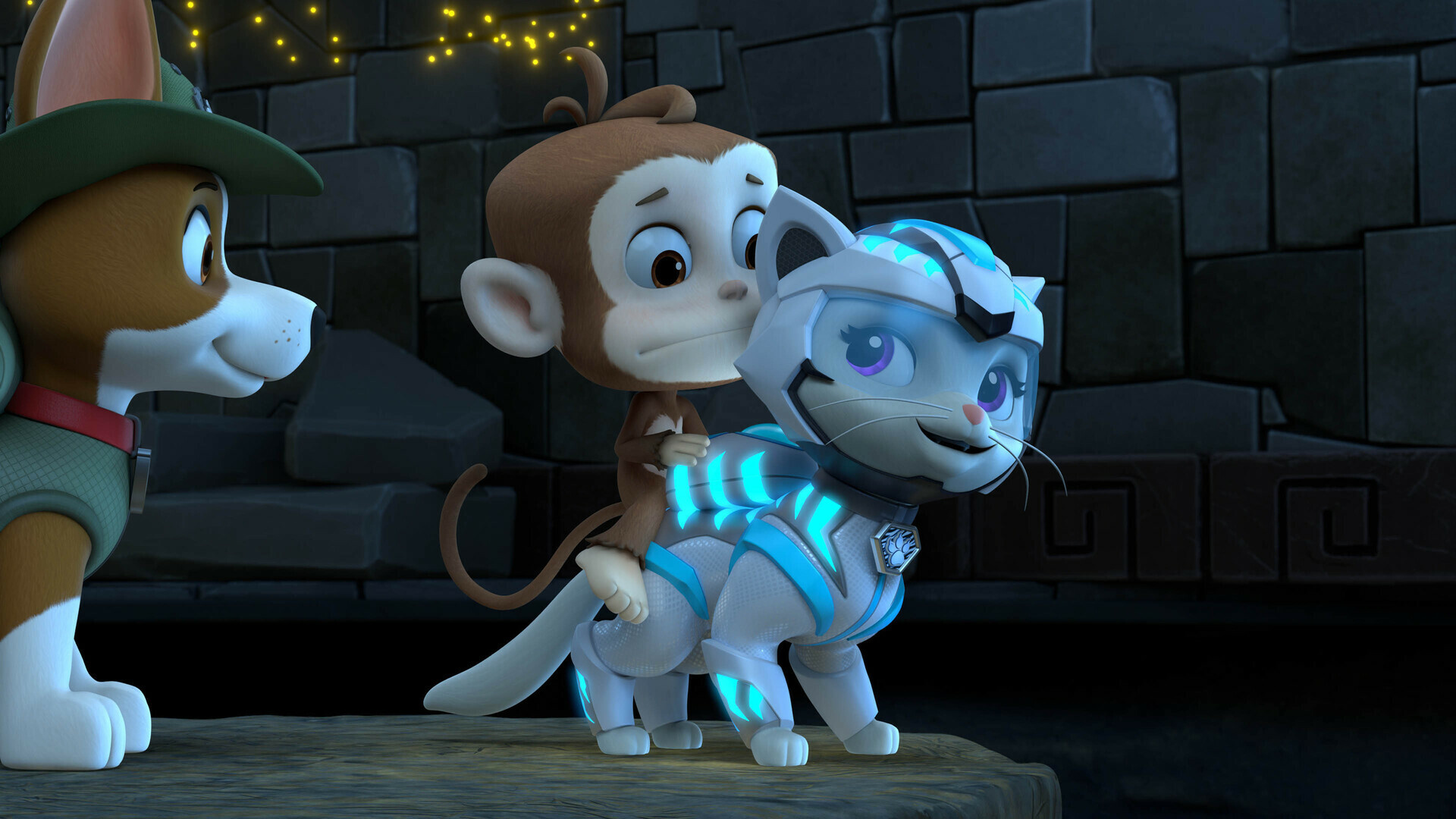 Watch PAW Patrol Season 9 Episode 4: Cat Pack/PAW Patrol Rescue: The ...