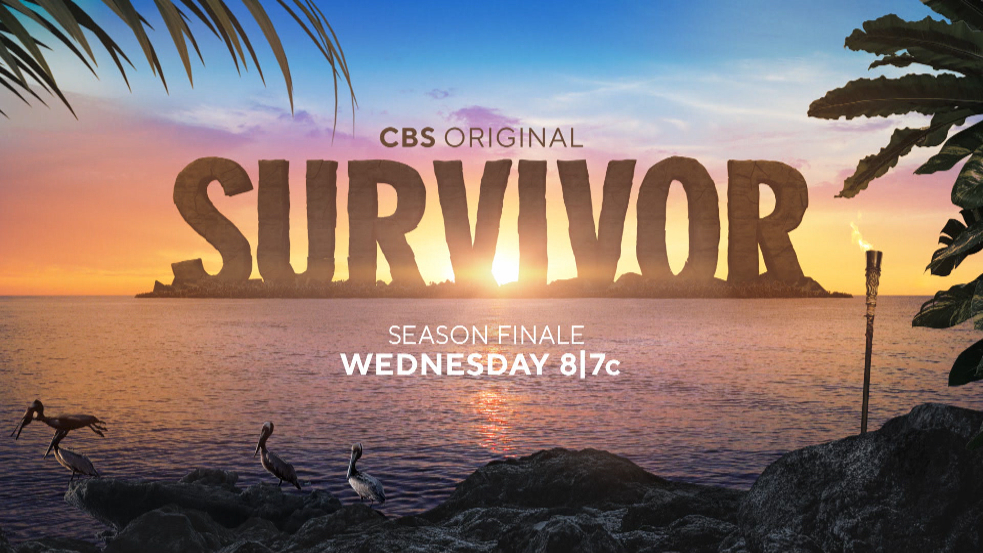 Watch survivor store season 12