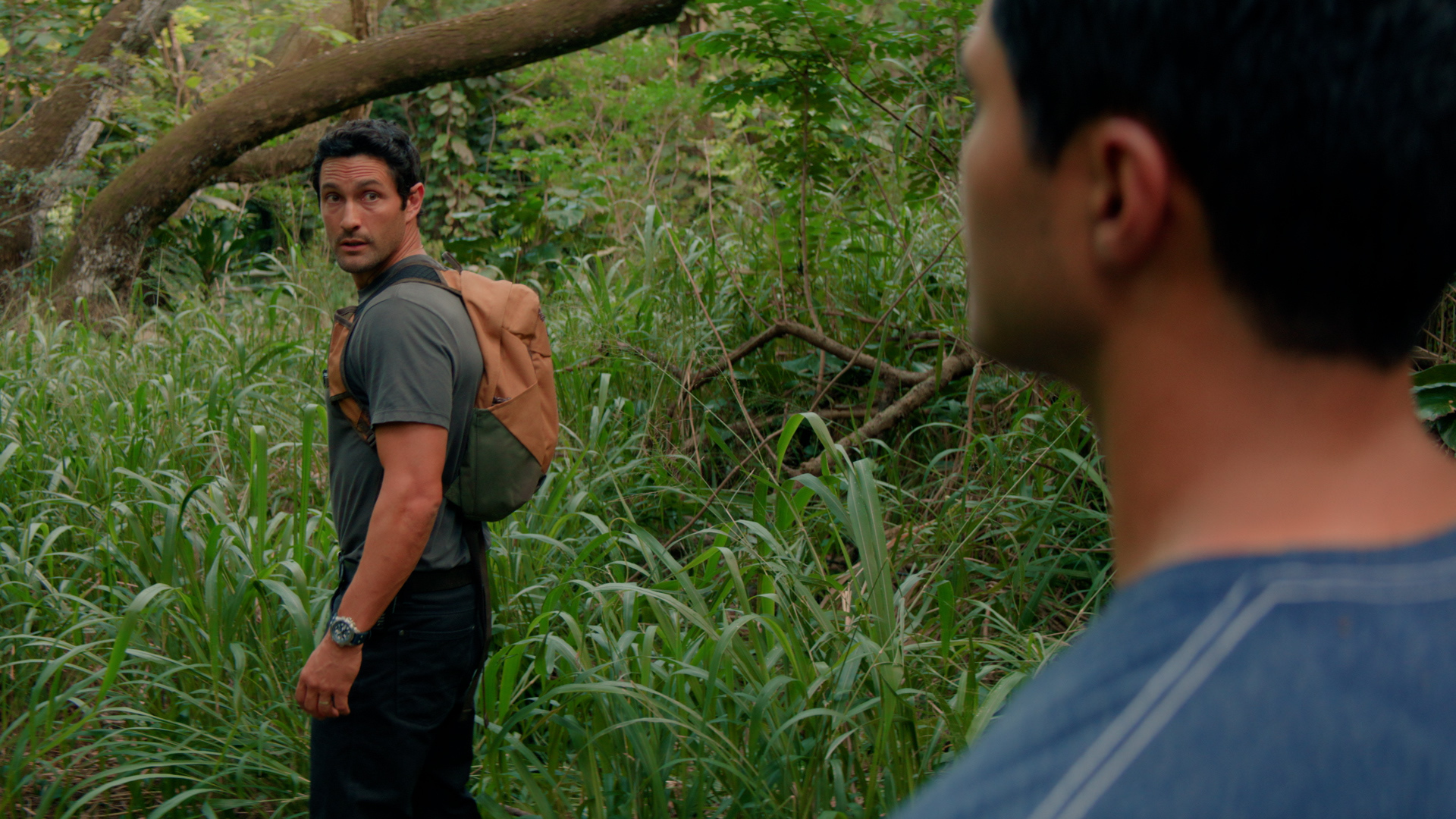 Watch NCIS Hawai