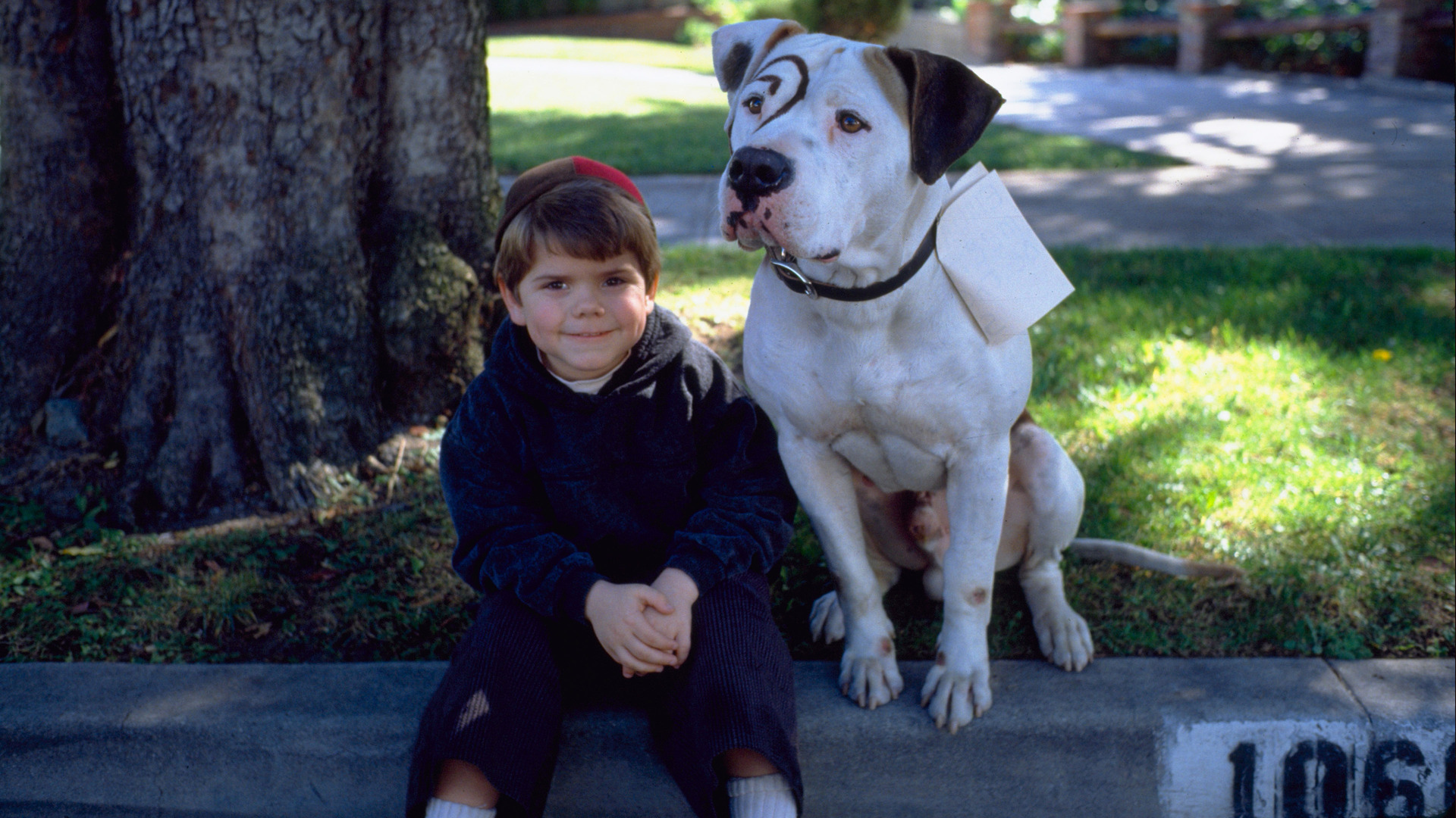 The Little Rascals - Watch Full Movie on Paramount+ Australia