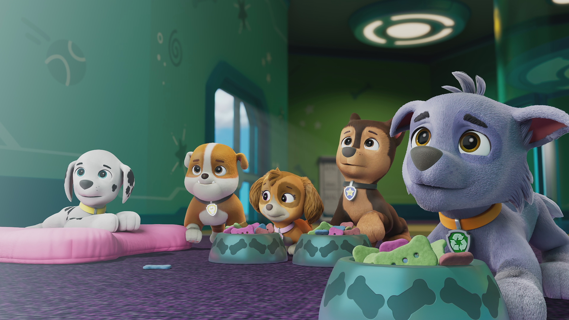 Guarda PAW Patrol La squadra dei cuccioli stagione 11 episodio 4 PAW Patrol La squadra dei