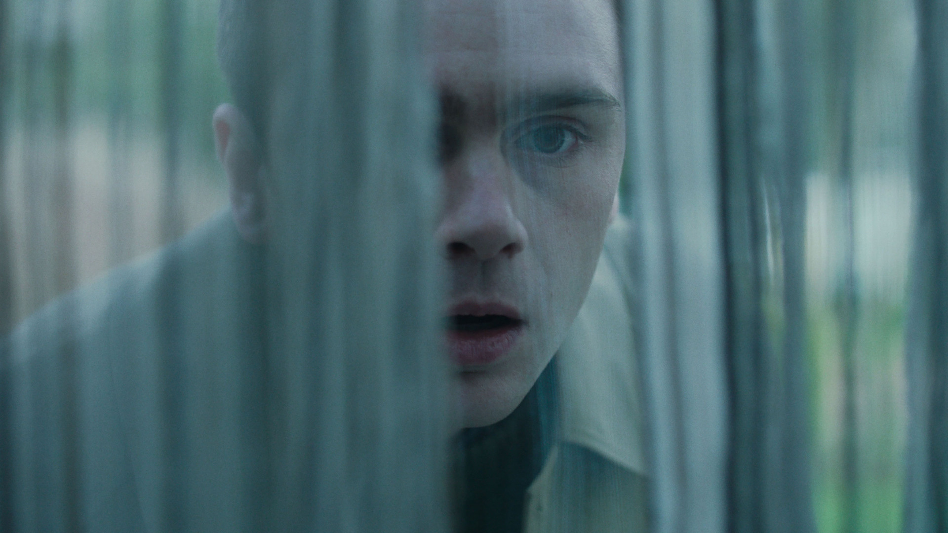 Watch Curfew Season 1 Episode 5: Total Harmony - Paramount+ Ireland