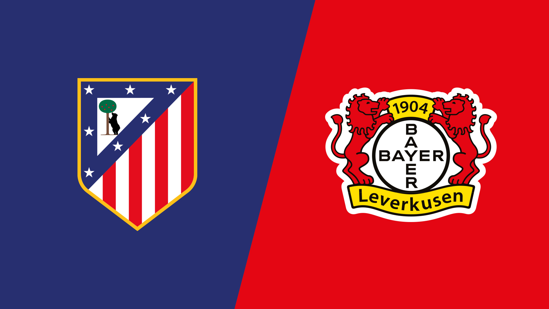 ATLETICOMadrid VS Bayer04Leverkusenマフラー アクセサリー