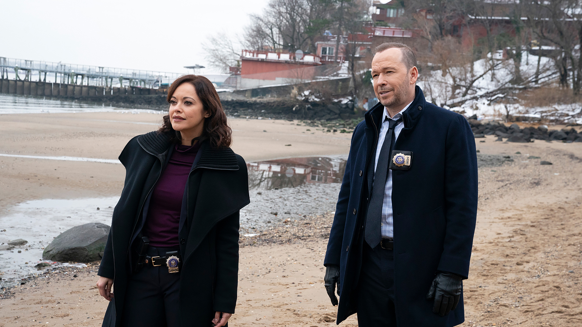 Regarder Blue Bloods : Blue Bloods - L'Union Fait La Force - Série en