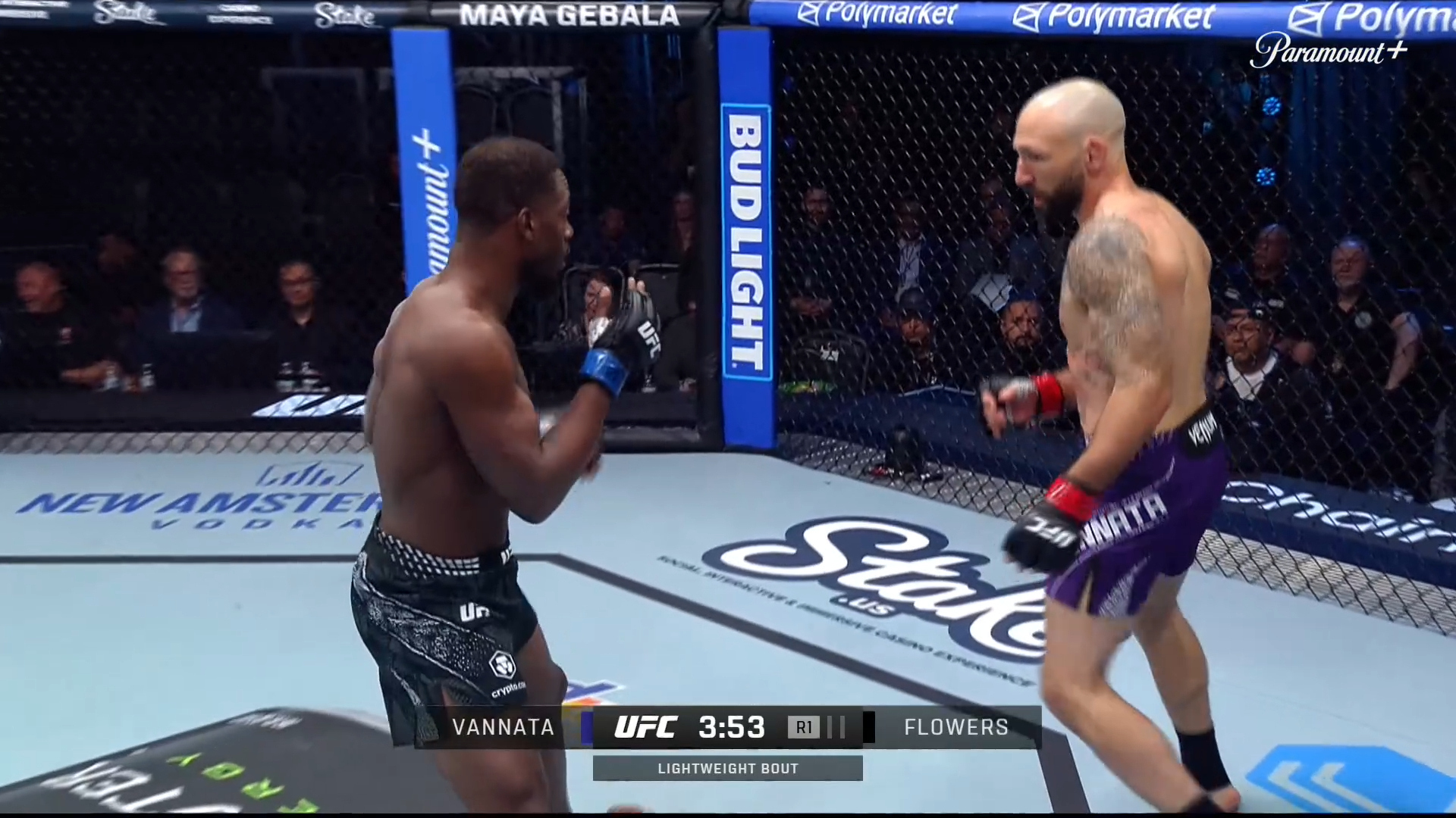 Ve UFC Fight Night (Español) Lando Vannata vs. Darrius Flowers (UFC ...