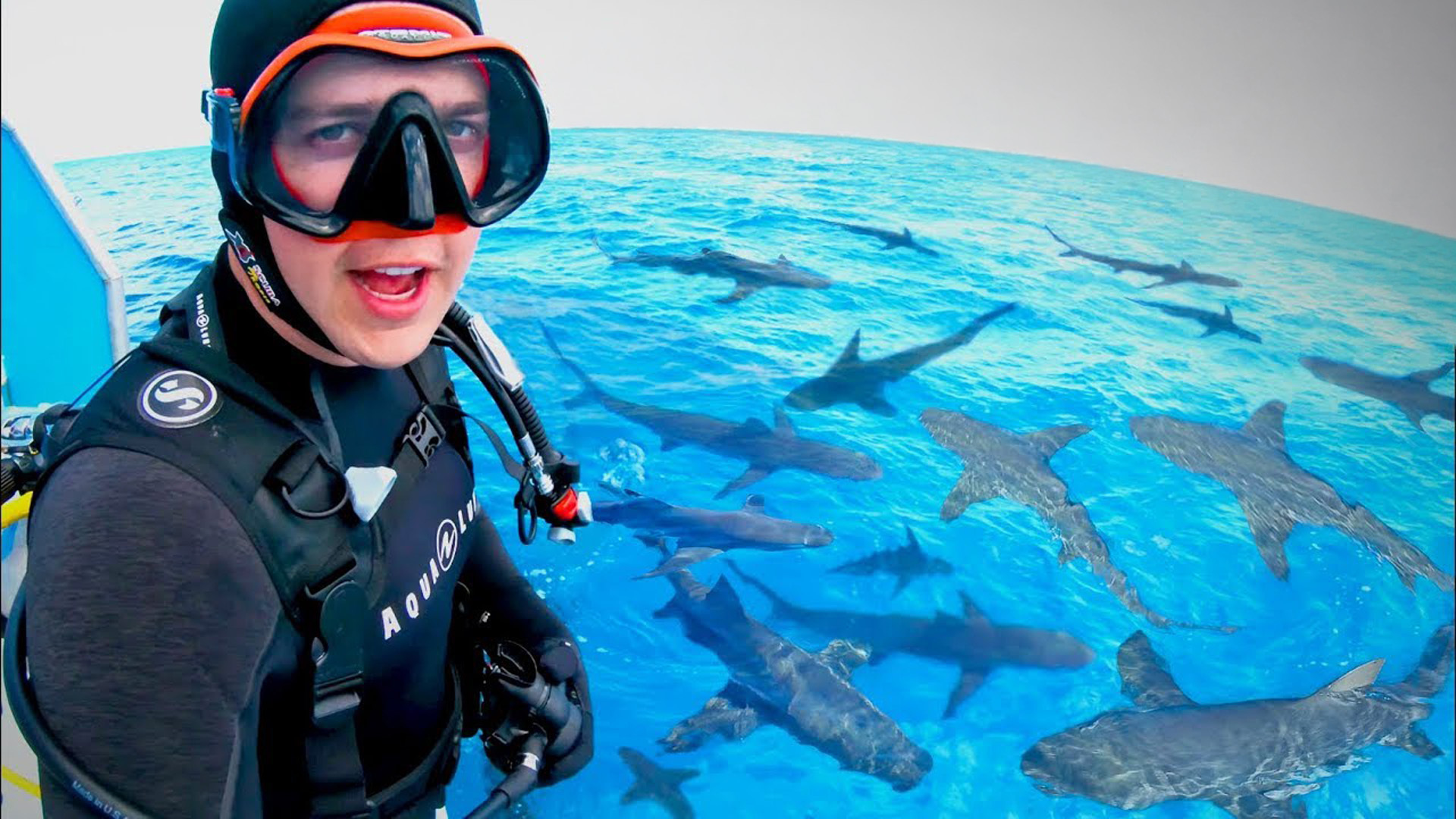 Watch Brave Wilderness: Creator Essentials Season 1 Episode 8: Diving ...