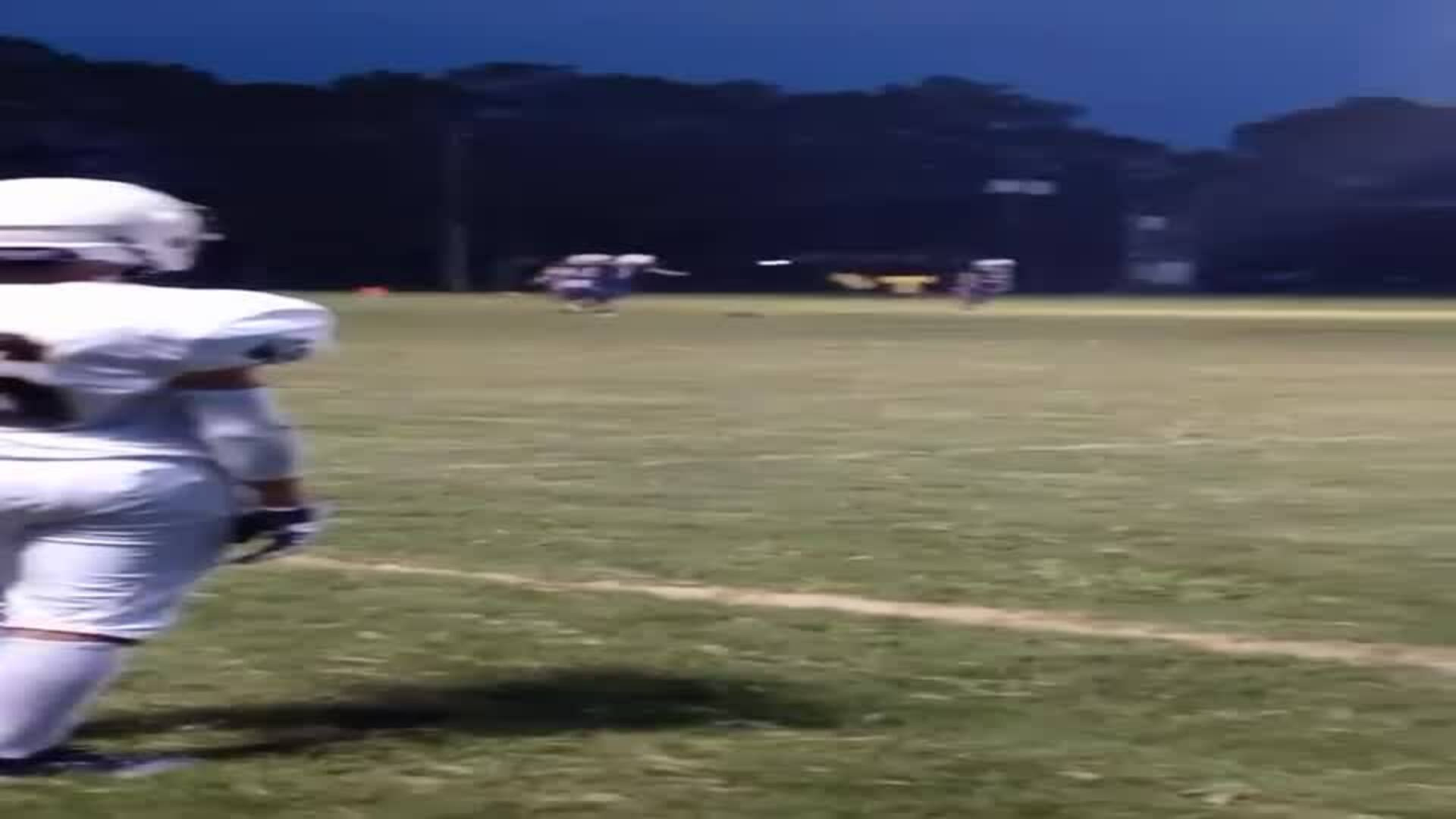 Videos Mount Carmel Academy Bulldogs (Houston, TX) Varsity Football