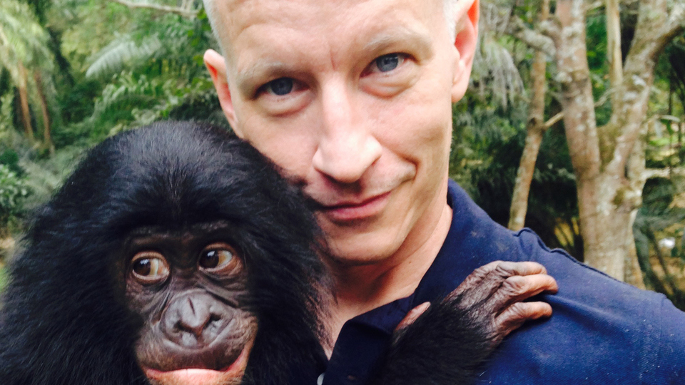 Watch 60 Minutes Bonobos - Paramount+