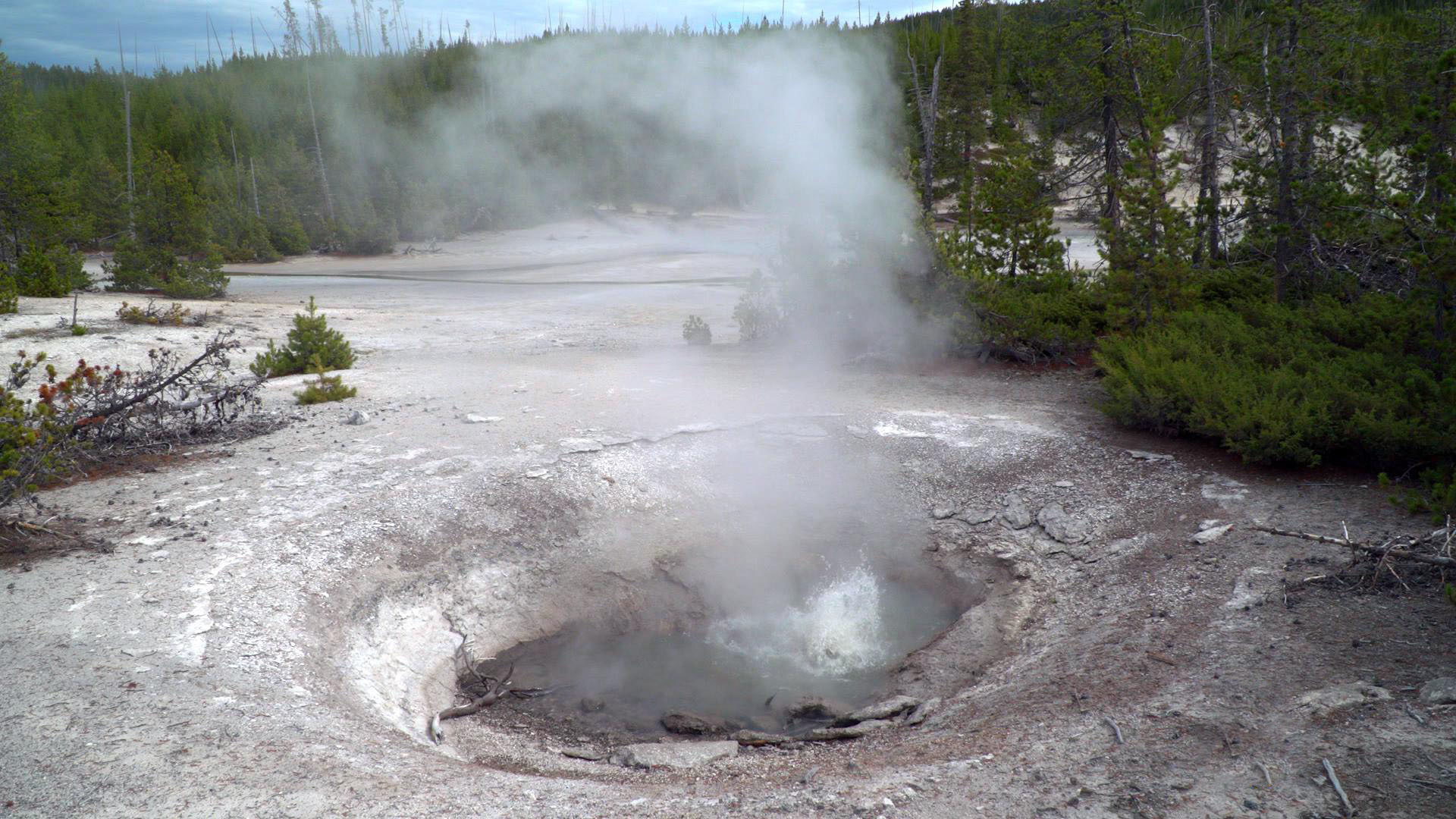 Yellowstone's Steamboat Geyser speeding up eruption cycle