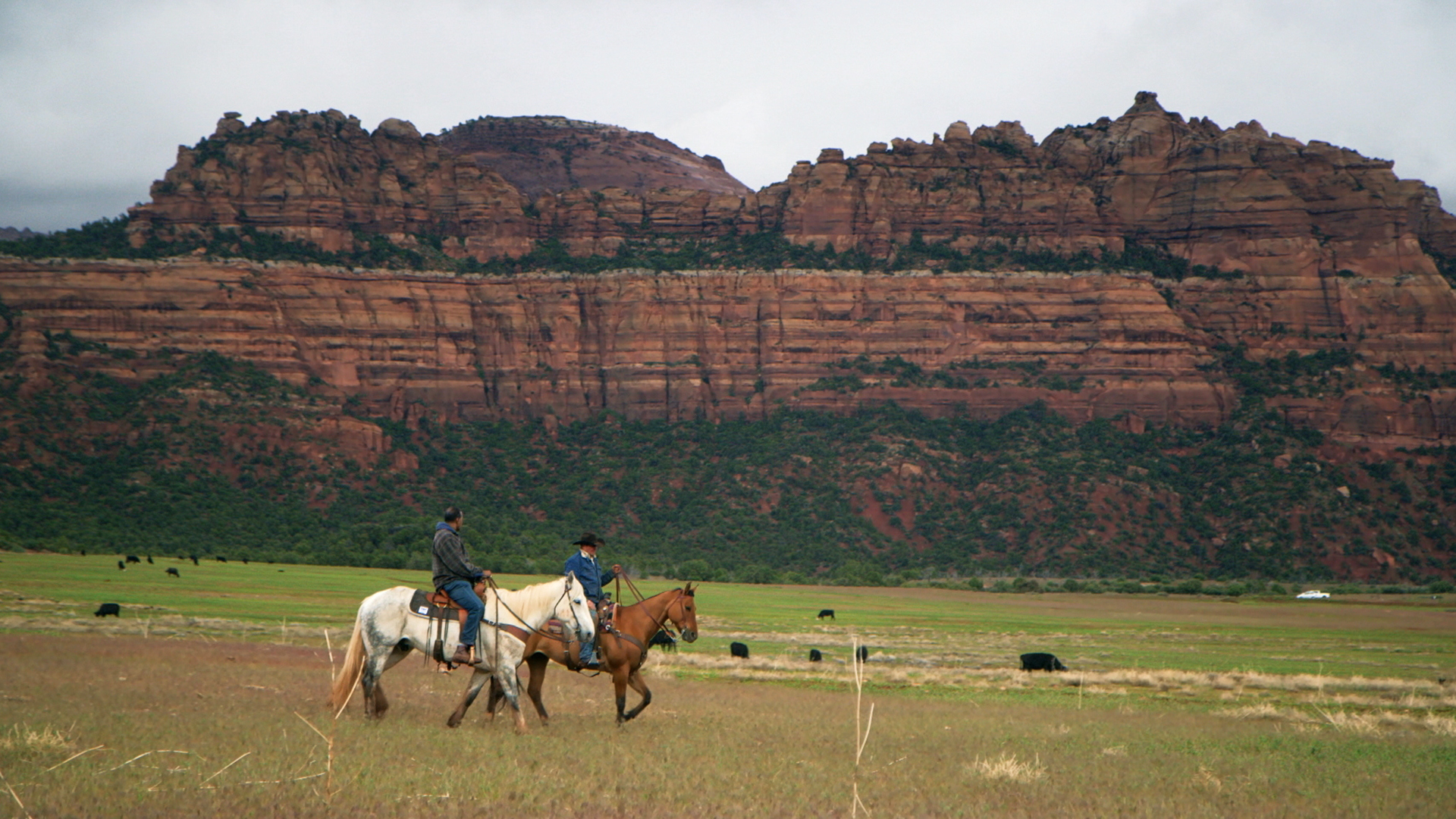 Watch 60 Minutes Overtime Rodeo lessons: The cowboys of saddle bronc ...