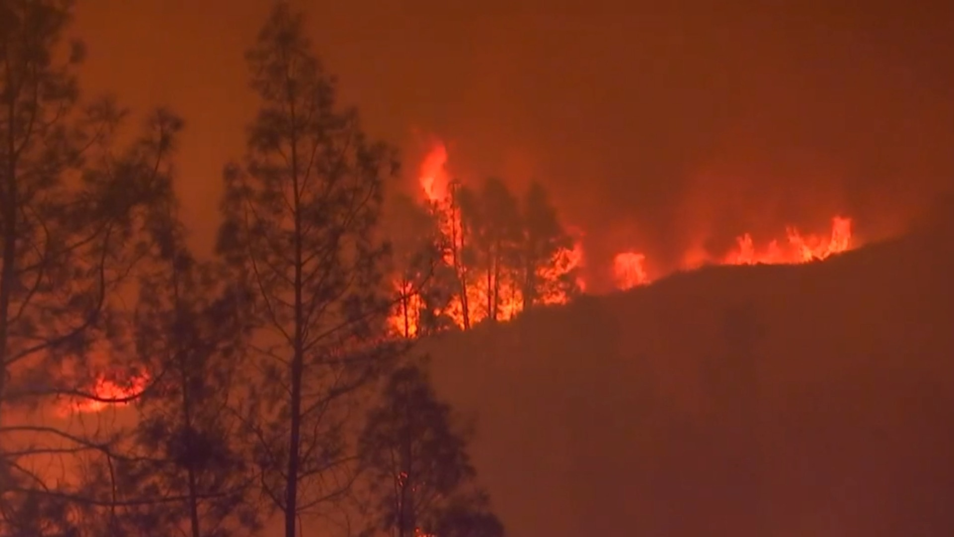Watch CBS Evening News California declares state of emergency Full
