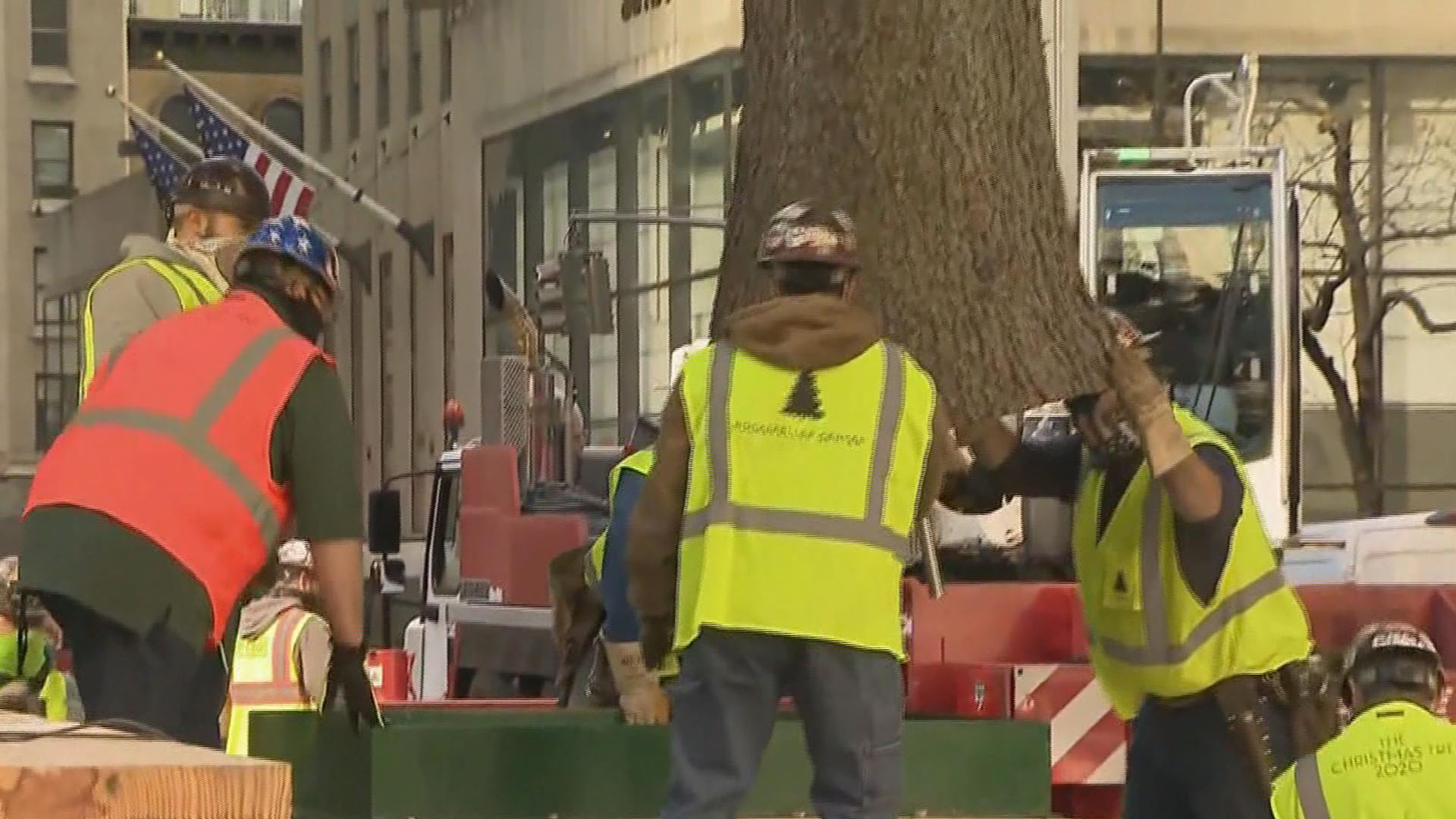 Watch Cbs Evening News Rockefeller Christmas Tree Arrives In Nyc Full Show On Cbs