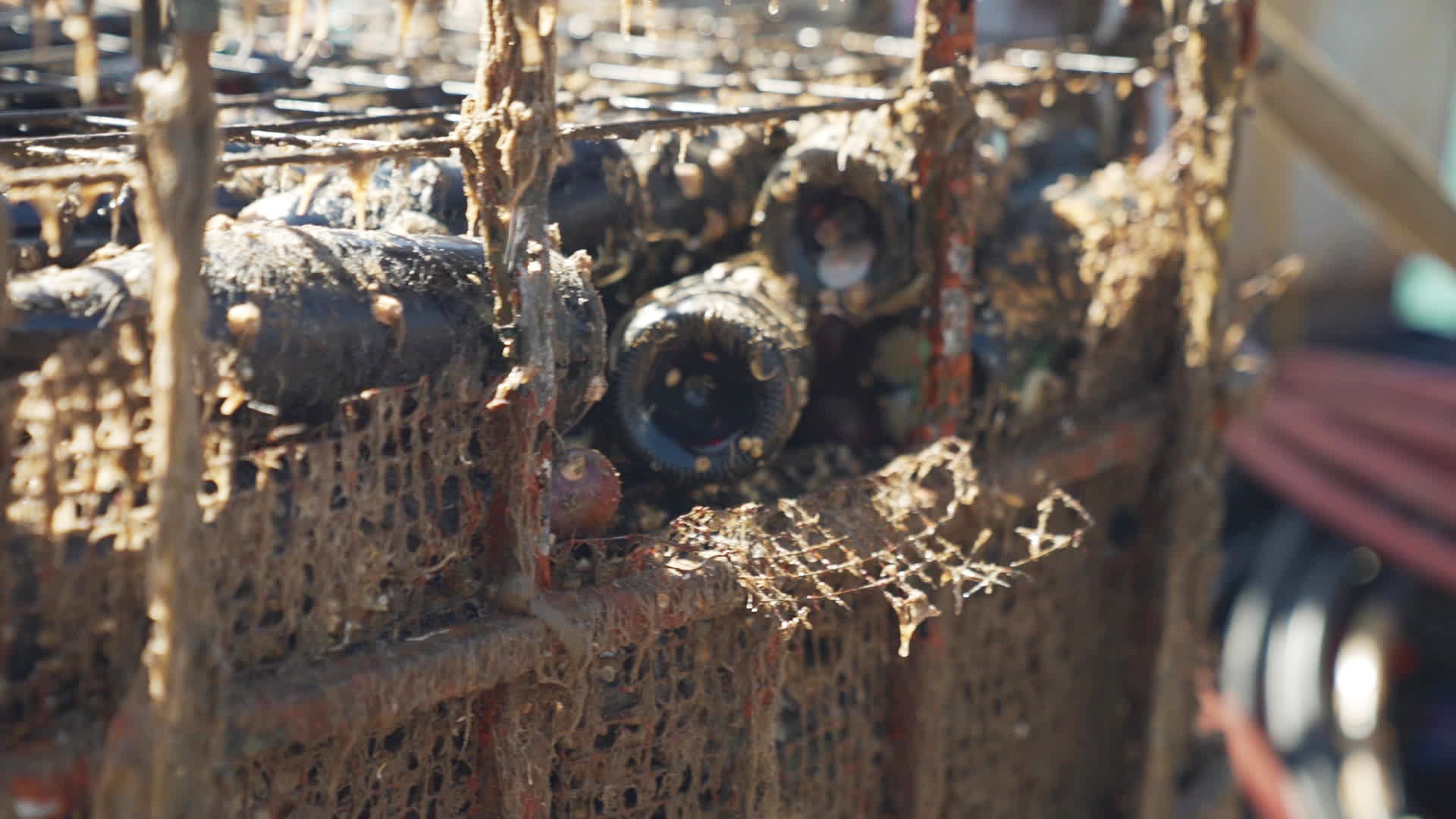 Watch Sunday Morning Wine cellar in the sea Full show on CBS