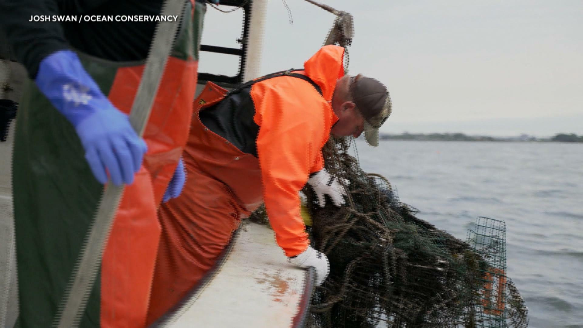 Watch CBS Mornings: Cleaning up ghost gear from world's oceans - Full  show on CBS