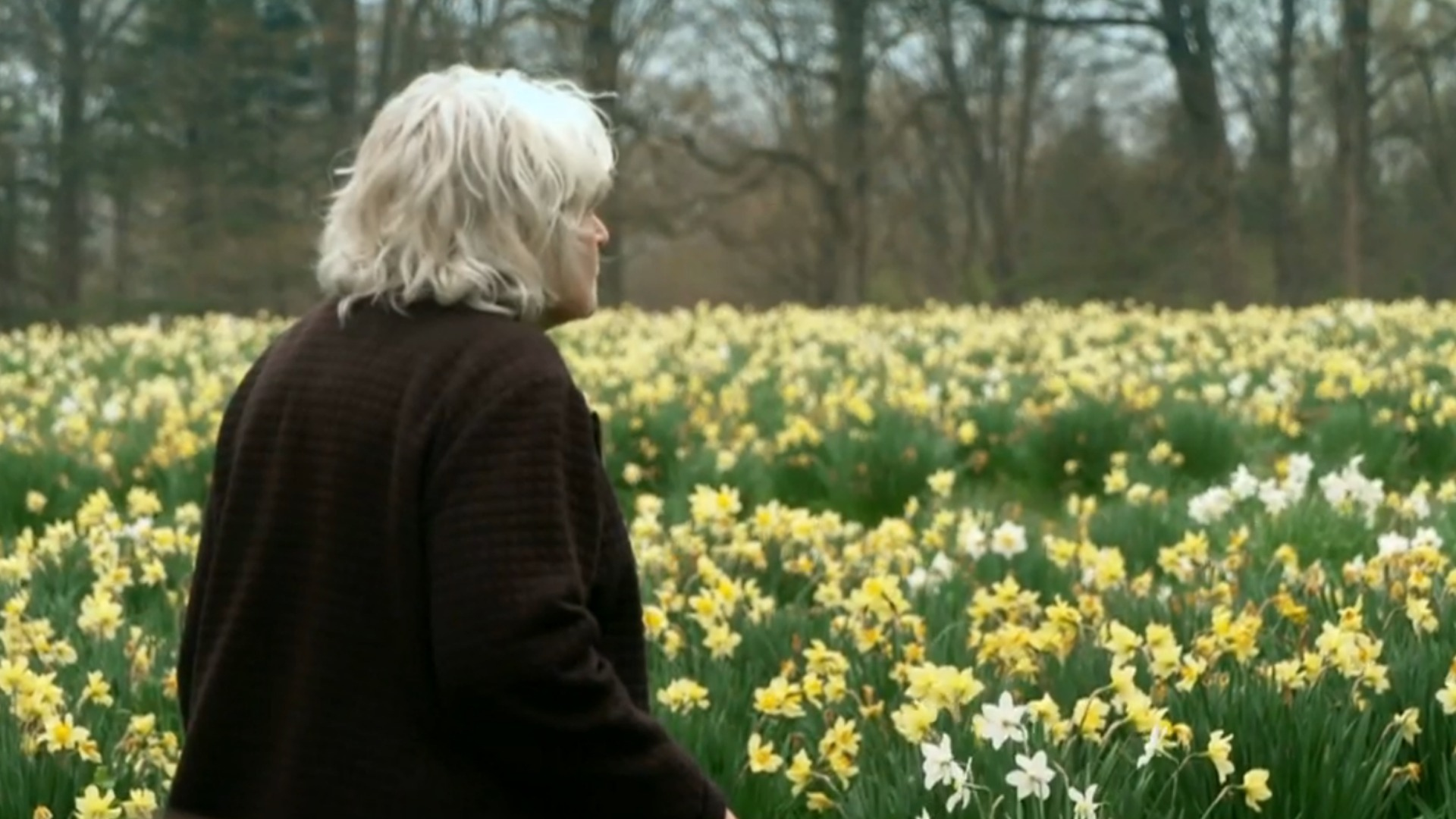 Husbands love for wife lives on in field of daffodils