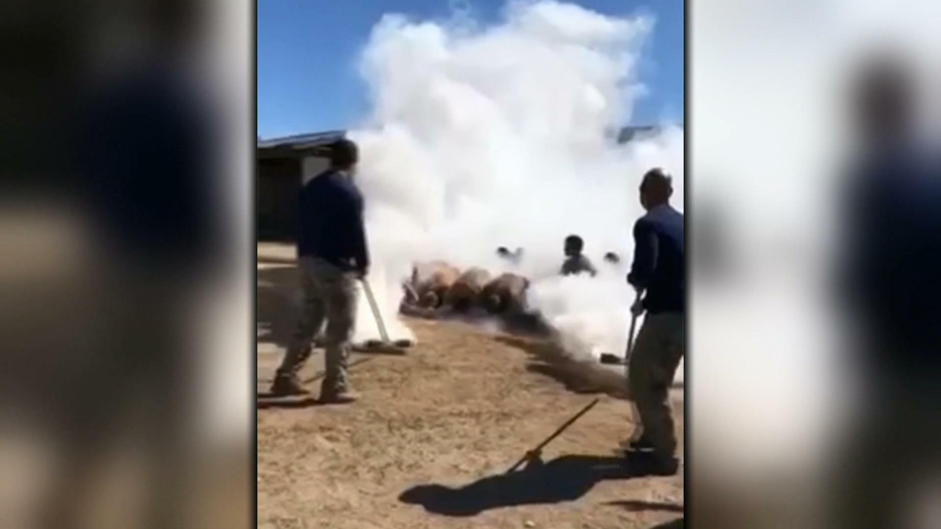 Watch CBS Mornings Navy SEAL tear gas video triggers investigation
