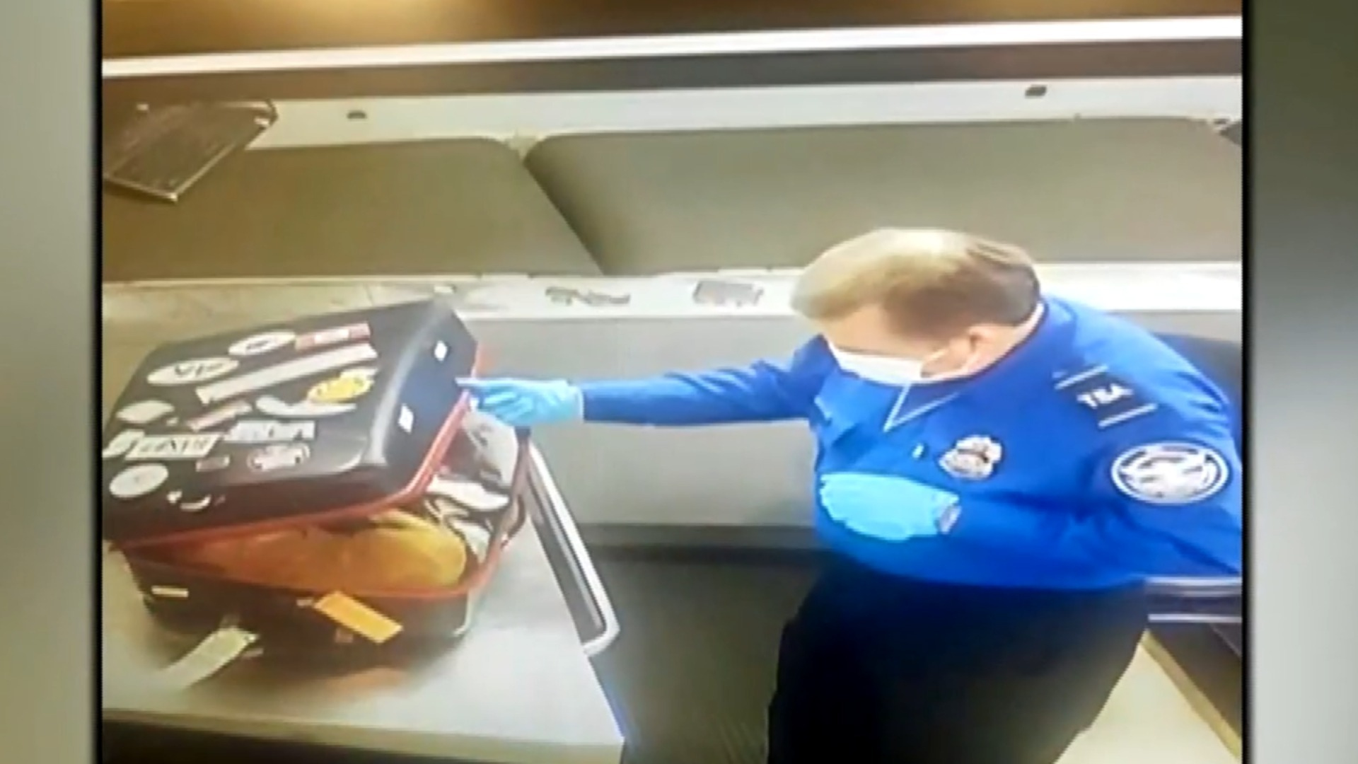 Watch CBS Evening News TSA officer discovers cat inside checked