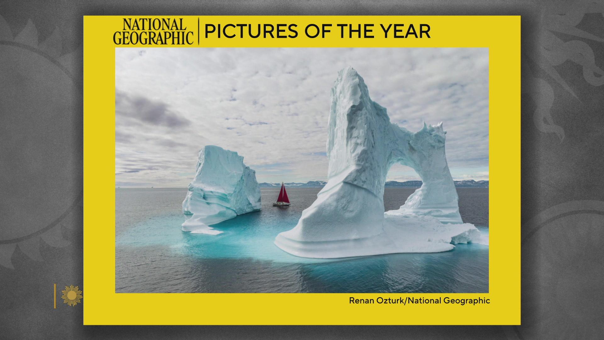 national geographic best photos of 2022