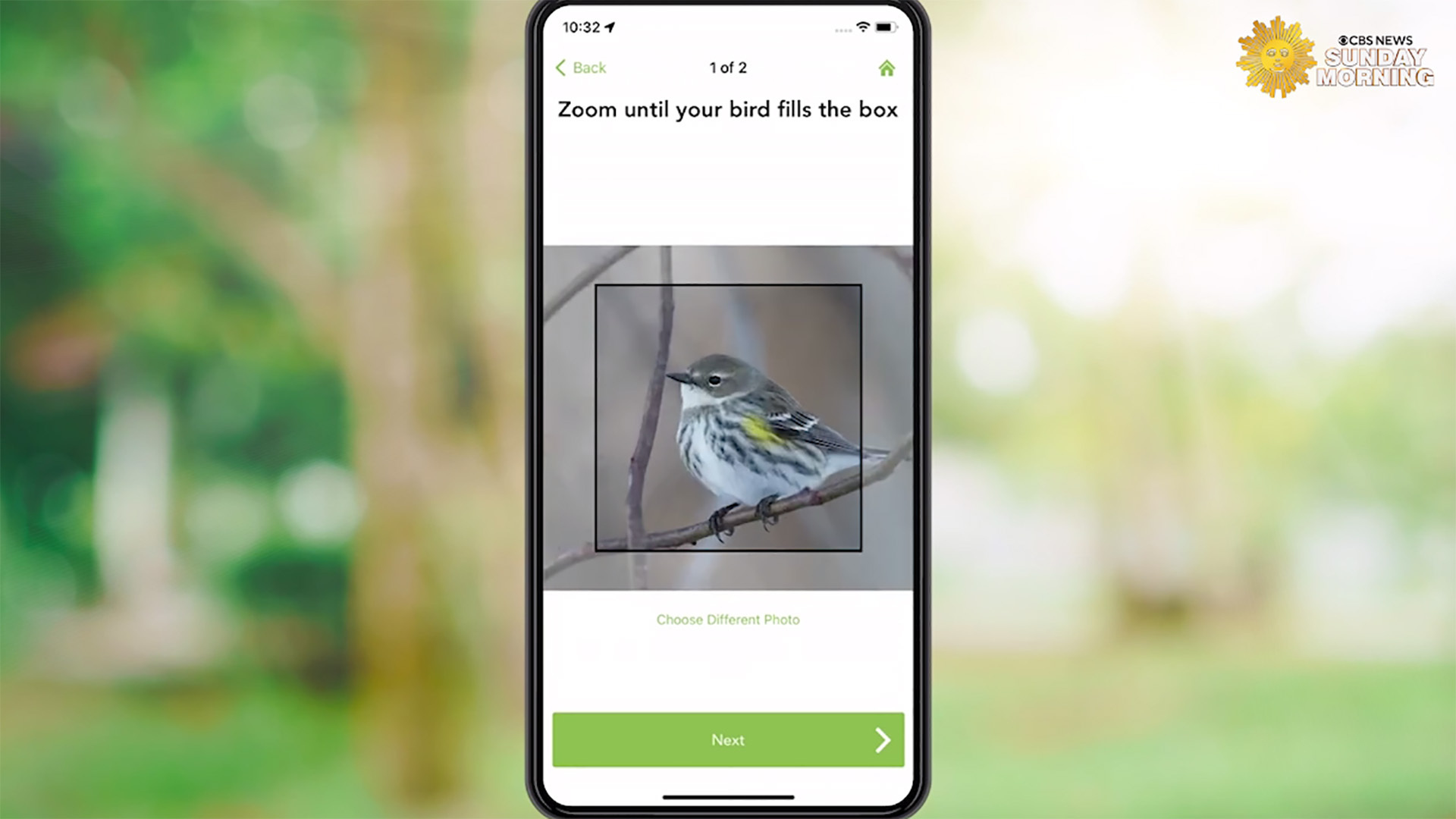 watch-sunday-morning-what-s-that-bird-merlin-bird-id-app-works-magic