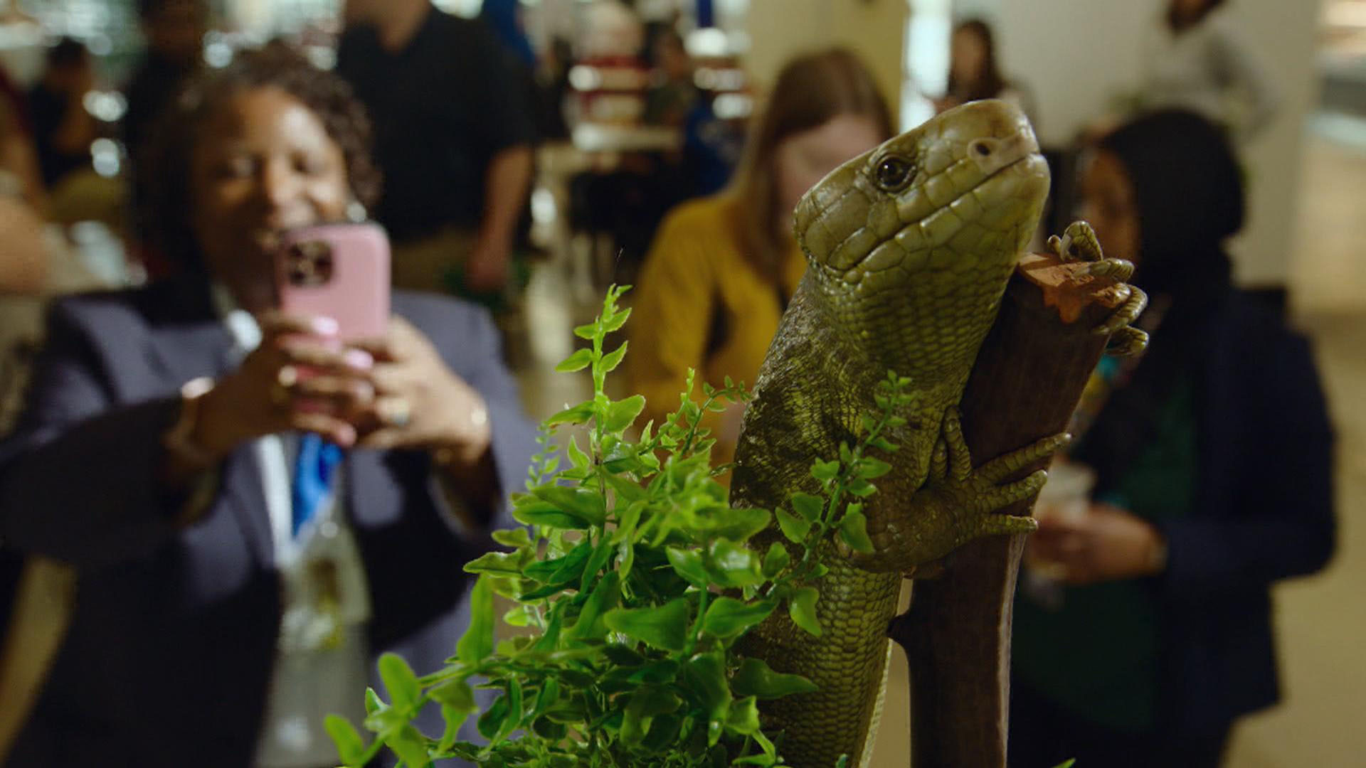 Watch CBS Saturday Morning: Animals help stressed travelers at airport ...