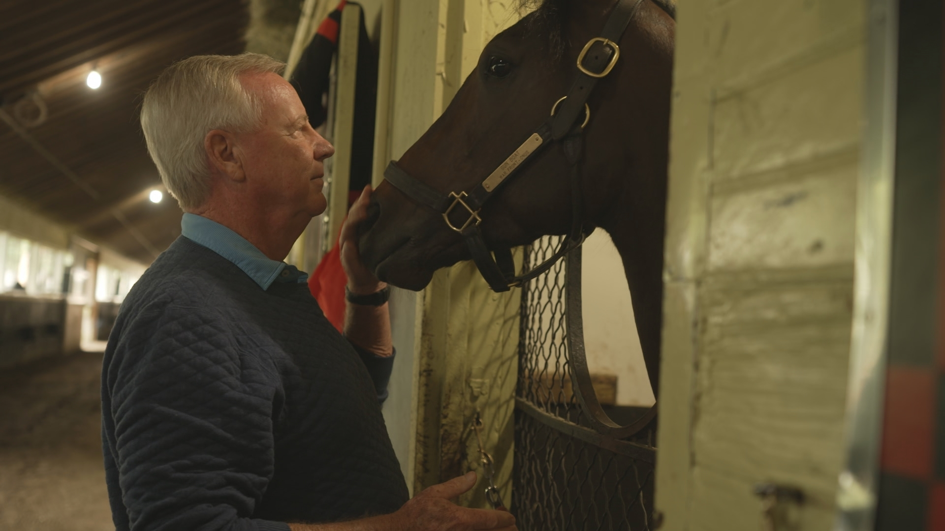 Watch Pegasus World Cup Invitational | Peacock