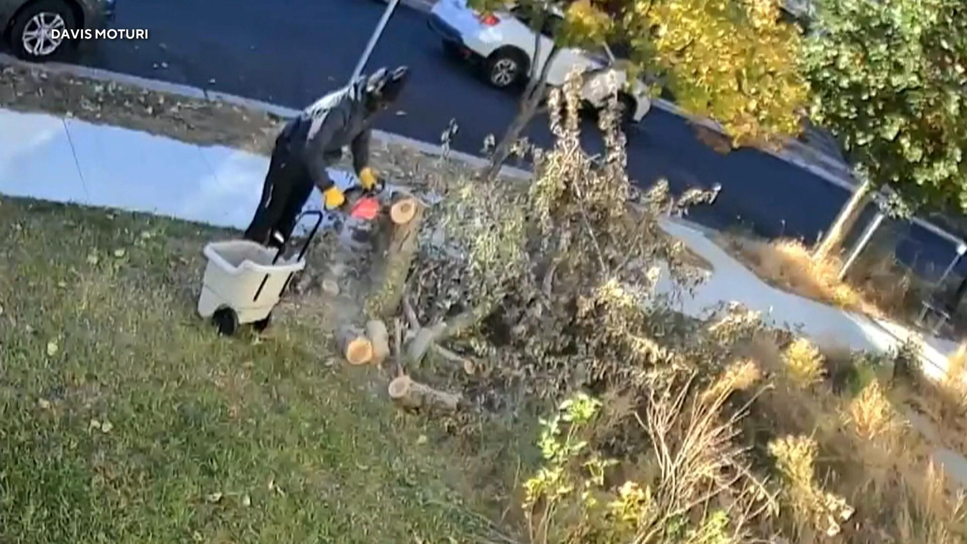 Watch CBS Mornings: Minnesota man arrested for shooting neighbor 