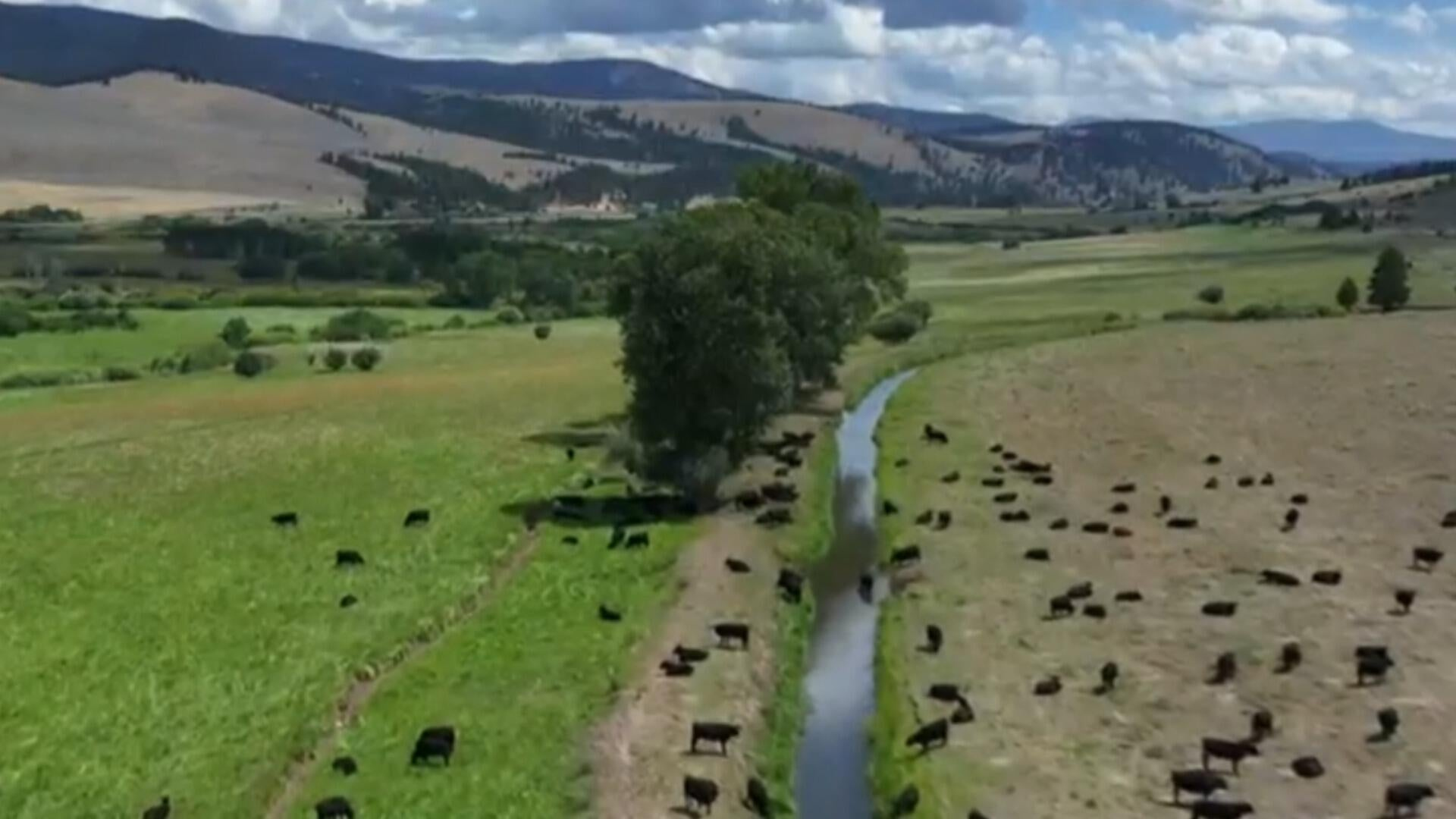 Watch CBS Evening News Season Episode Montana ranchers challenge