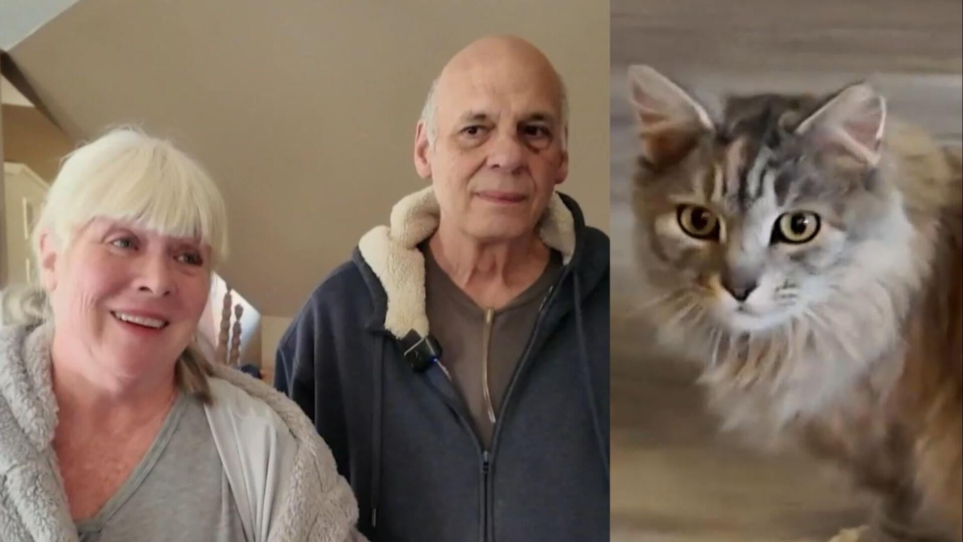 Watch CBS Saturday Morning Family cat found after more than 400 days ...