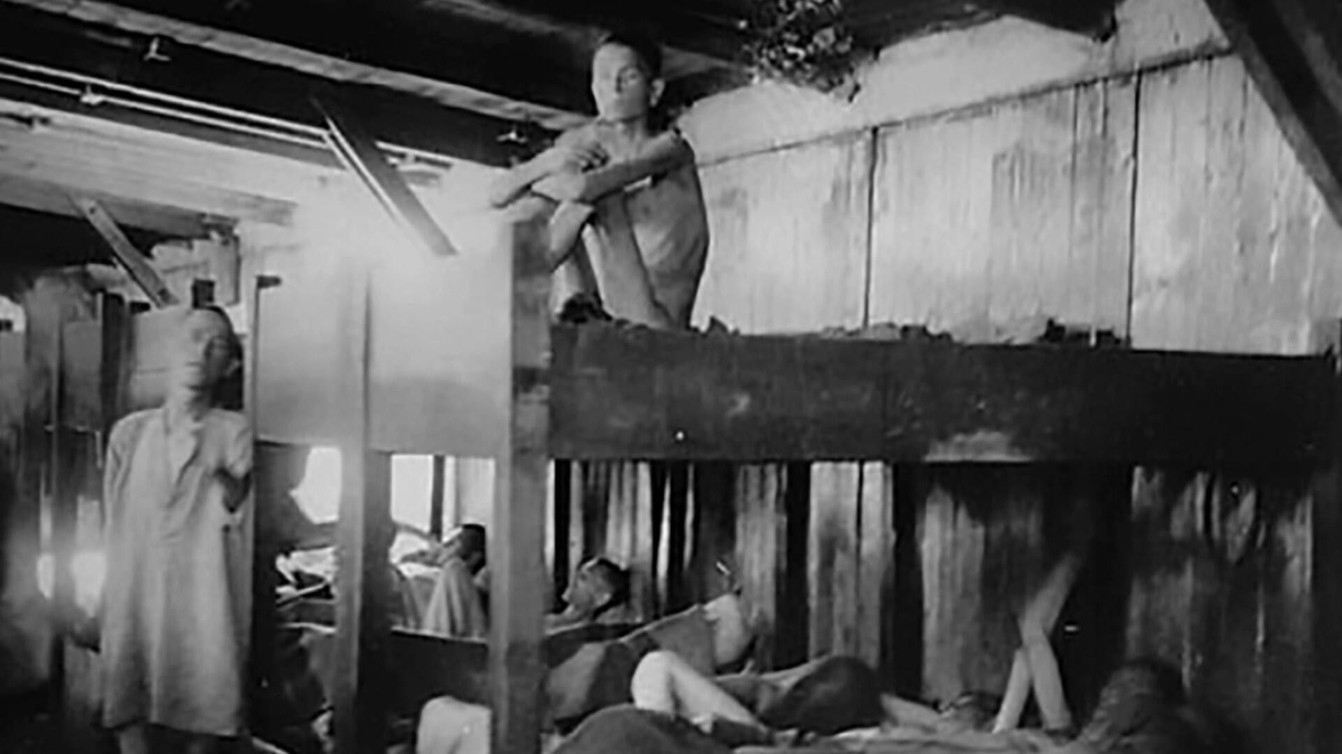 Watch 60 Minutes Overtime Documenting the horrors of a Nazi camp -  Paramount+