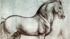 Leonardo's Love of Horses Leonardo's Love of Horses