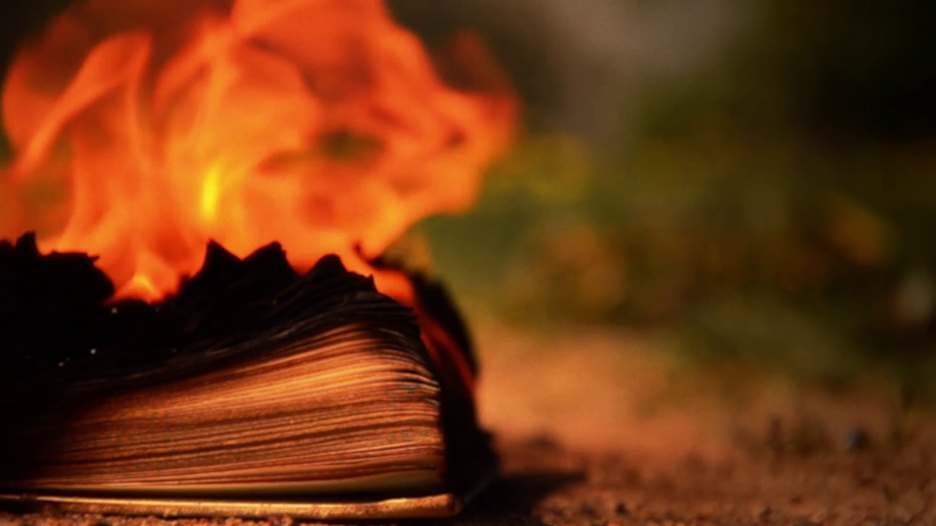 40+ John Irving Children Background