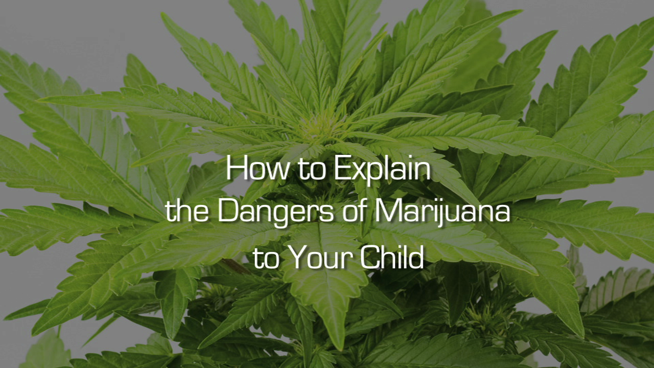 How to Explain the Dangers of Marijuana to Your Child How to Explain the Dangers of Marijuana to Your Child