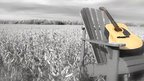 Sing You Home by Jodi Picoult Sing You Home by Jodi Picoult