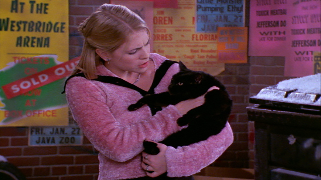 Watch Sabrina The Teenage Witch A Girl And Her Cat Season 1 Episode 11 