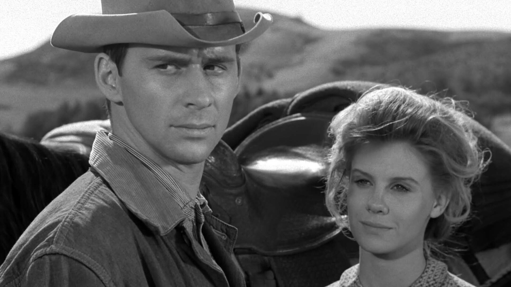 nike free run gunsmoke