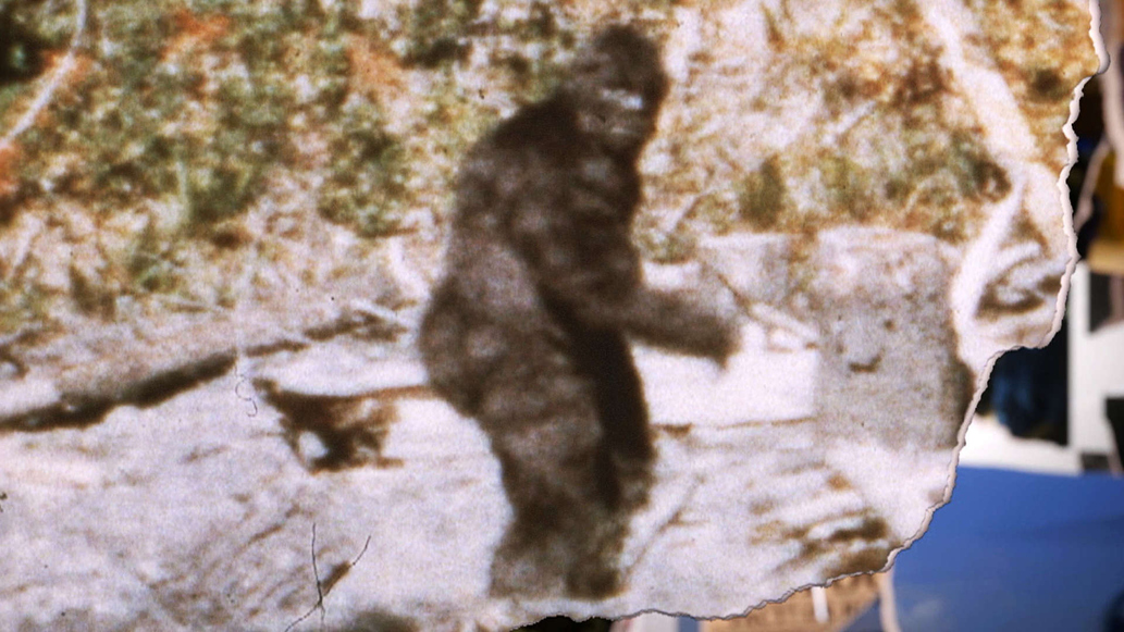 Watch The Missing Evidence Season 1 Episode 4 Bigfoot Full show on