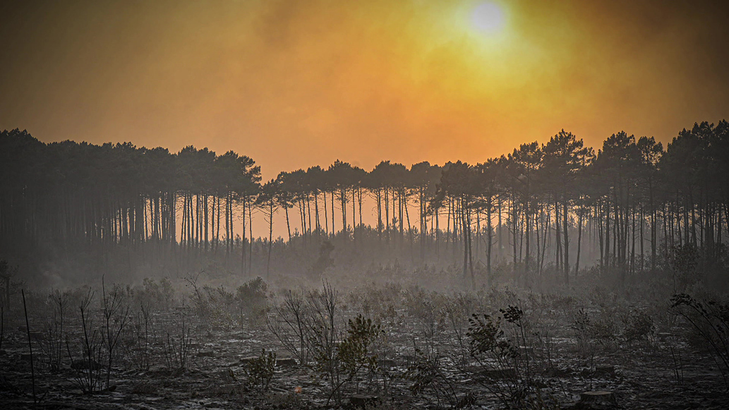 Watch Sunday Morning The Climate Crisis The Time To Act Is Now Full Show On CBS