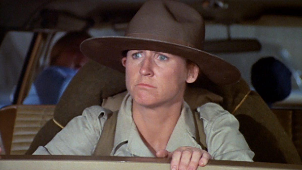 Watch The Brady Bunch Season 1 Episode 8 ACamping We Will Go Full