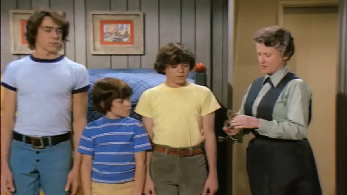 Watch The Brady Bunch Season 3 Episode 20 The Brady Bunch Sergeant
