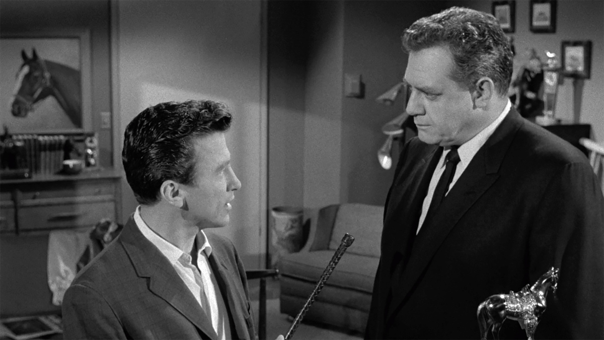 Watch Perry Mason Season 8 Episode 9 The Case of the Tragic Trophy