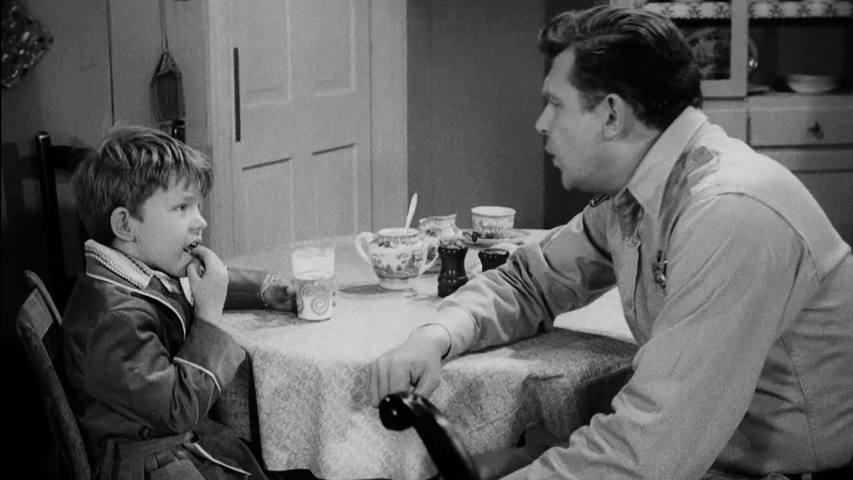 Watch The Andy Griffith Show Season 1 Episode 21 Andy And The