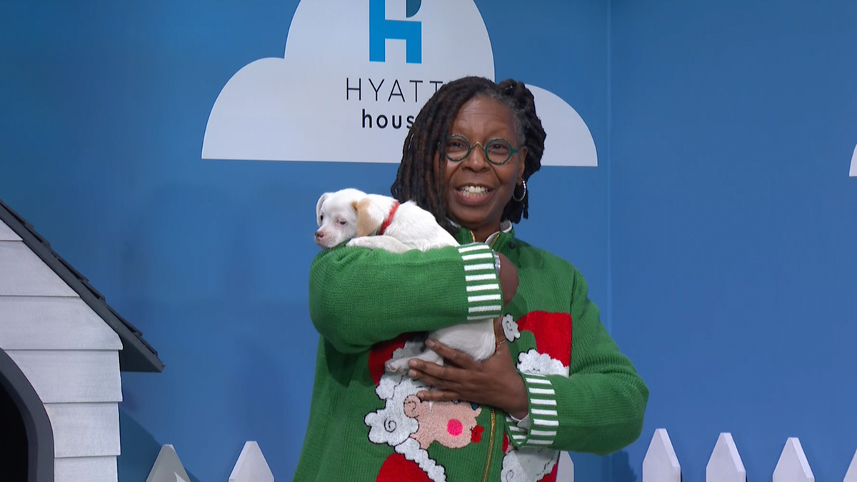 Watch The Late Show with Stephen Colbert: Rescue Dog ...