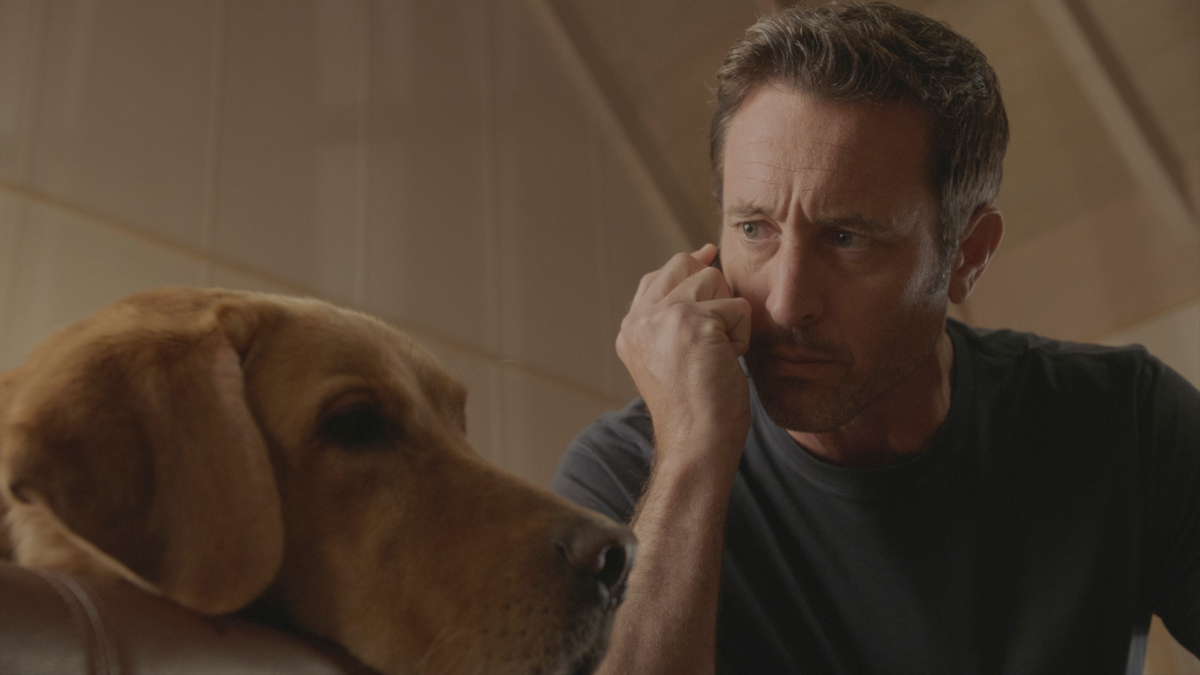 Watch Hawaii Five-0 Season 10 Episode 14: Hawaii Five-0 - I ho'olulu