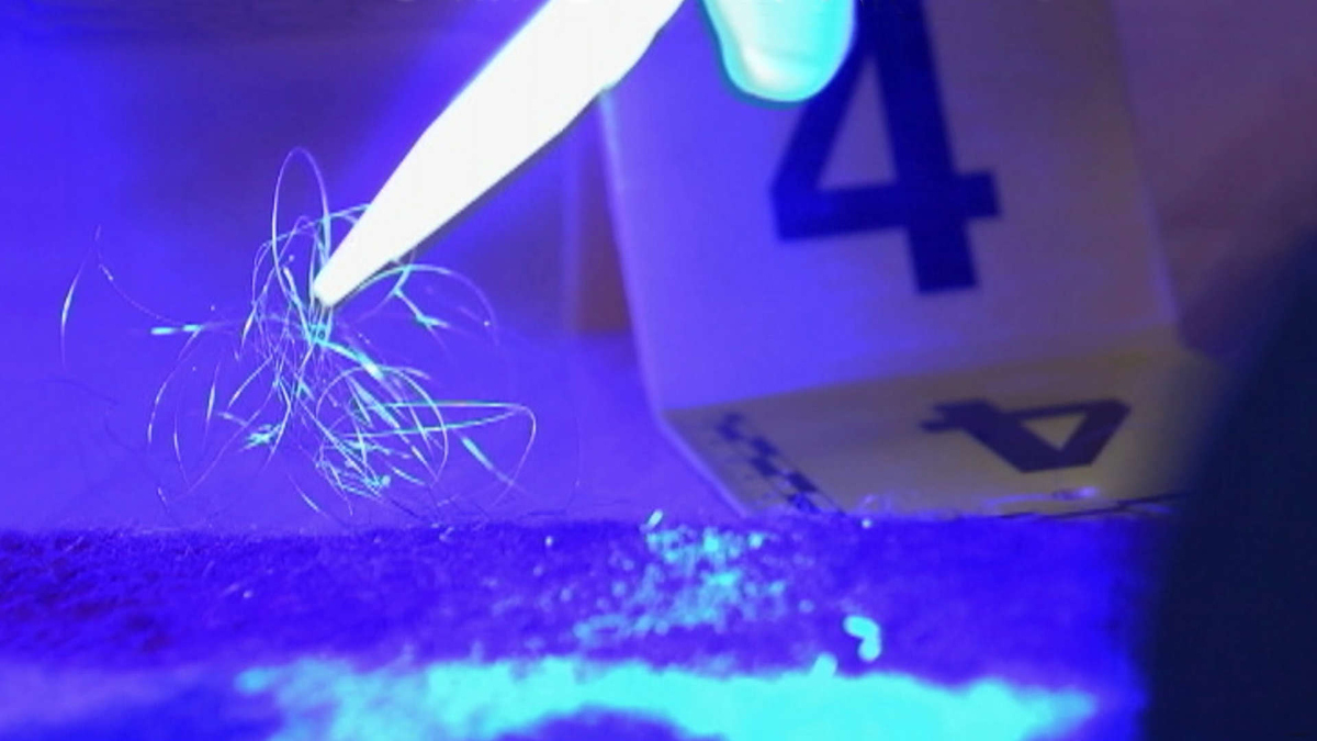 Watch Catching Killers Season 2 Episode 5 Catching Killers Trace