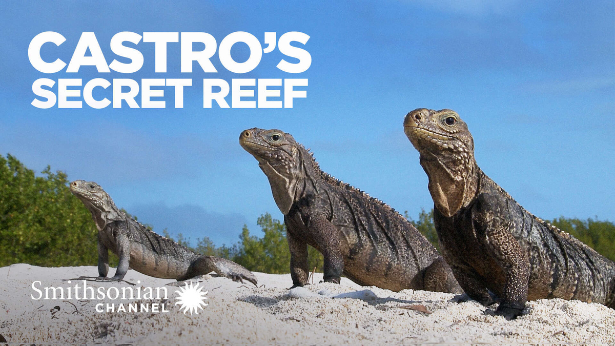 Castro's Secret Reef - Watch Full Movie on Paramount Plus