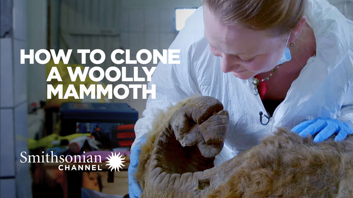 Watch How to Clone a Woolly Mammoth Stream now on CBS All Access