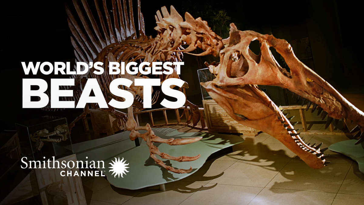 Watch World's Biggest Beasts Stream now on CBS All Access
