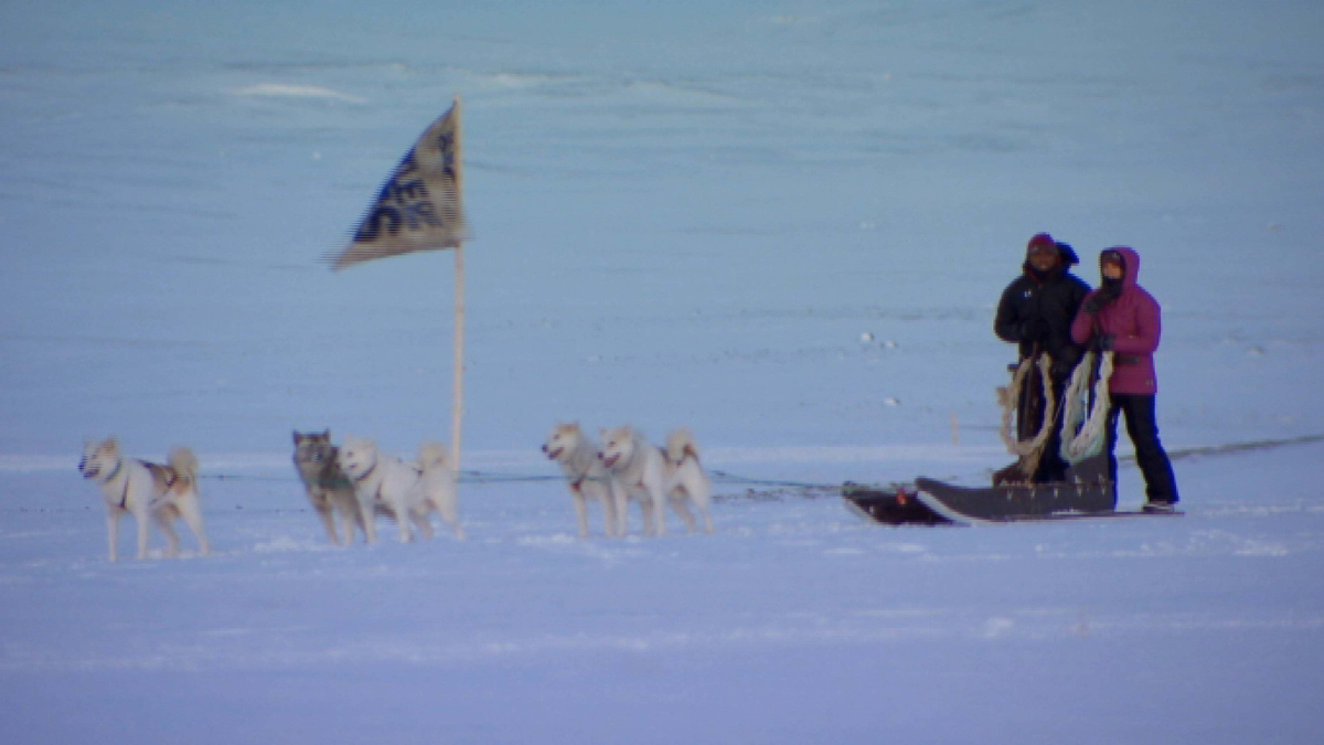 Watch The Challenge Season 22 Episode 10 The Challenge I Will Always